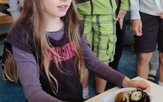IMG_20250519_080712.jpg