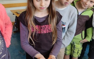 IMG_20250519_080733.jpg