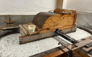 IMG_4418.JPG
