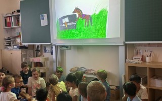 IMG_7349.jpeg