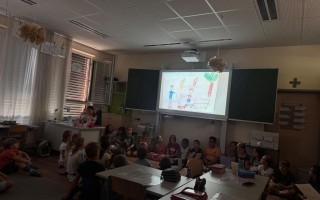 IMG_7370.jpeg
