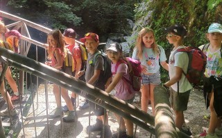 IMG_20250613_103053.jpg