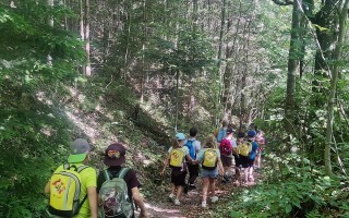 IMG_20250613_102640.jpg