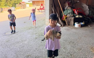 IMG_7909.jpeg