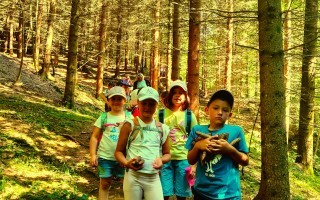 IMG_20250613_103427.jpg