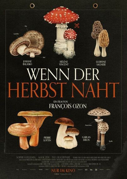 FZ_WennderHerbstnaht.jpg