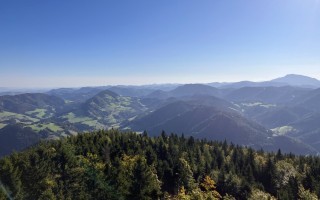 IMG_4305.jpeg