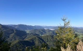 IMG_4266.jpeg