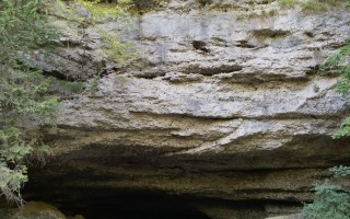 IMG_20250918_162314.jpg