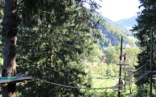 IMG_1130.JPG