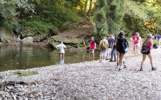 IMG_20250918_162053.jpg