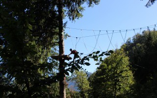 IMG_1155.JPG