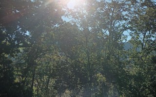 20250920_092834.jpg