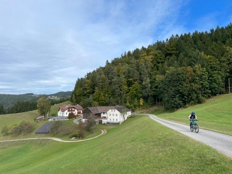 WhatsApp Image 2025-10-04 at 19.58.44.jpeg