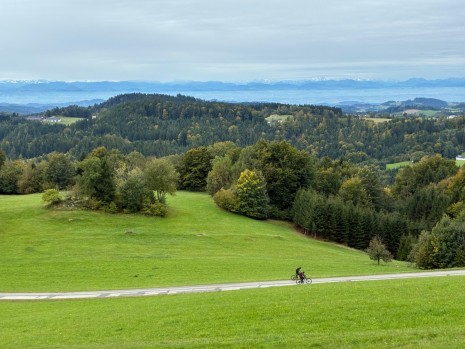 WhatsApp Image 2025-10-04 at 20.15.07.jpeg