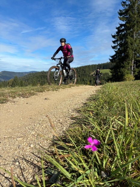 WhatsApp Image 2025-10-04 at 20.15.08.jpeg