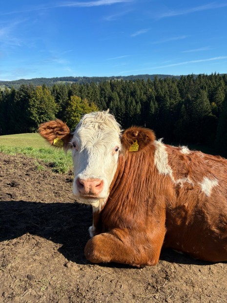 WhatsApp Image 2025-10-04 at 20.15.14 (3).jpeg