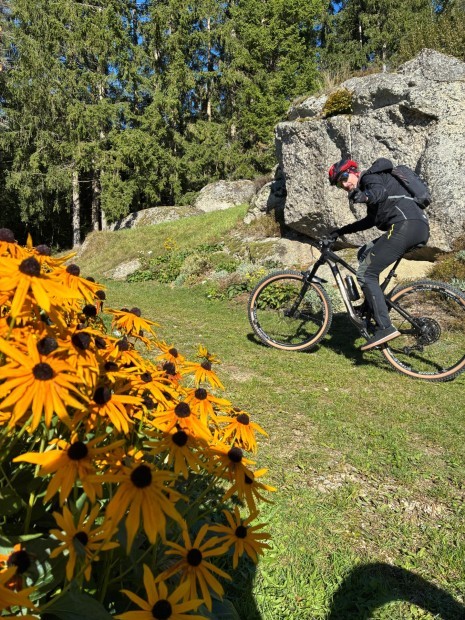 WhatsApp Image 2025-10-04 at 20.15.14 (1).jpeg