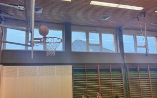 IMG_1131.jpeg