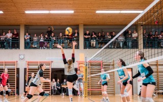 LLD_Bisamberg_10112025-69.jpg