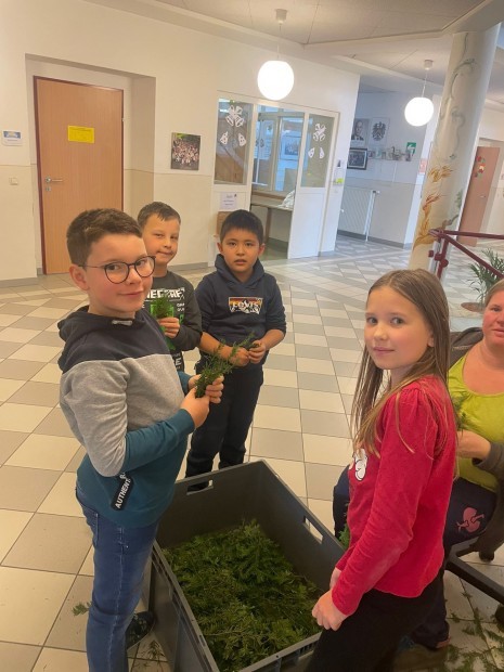 WhatsApp Image 2025-11-25 at 20.16.12 (1).jpeg