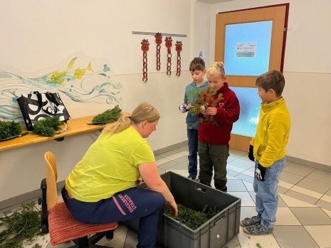 WhatsApp Image 2025-11-25 at 20.16.12 (3).jpeg