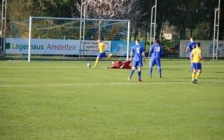 IMG_8431.JPG