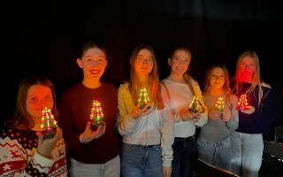 Blinkende Christbäume_3.jpeg