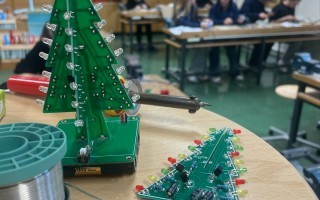 Blinkende Christbäume_1.jpeg