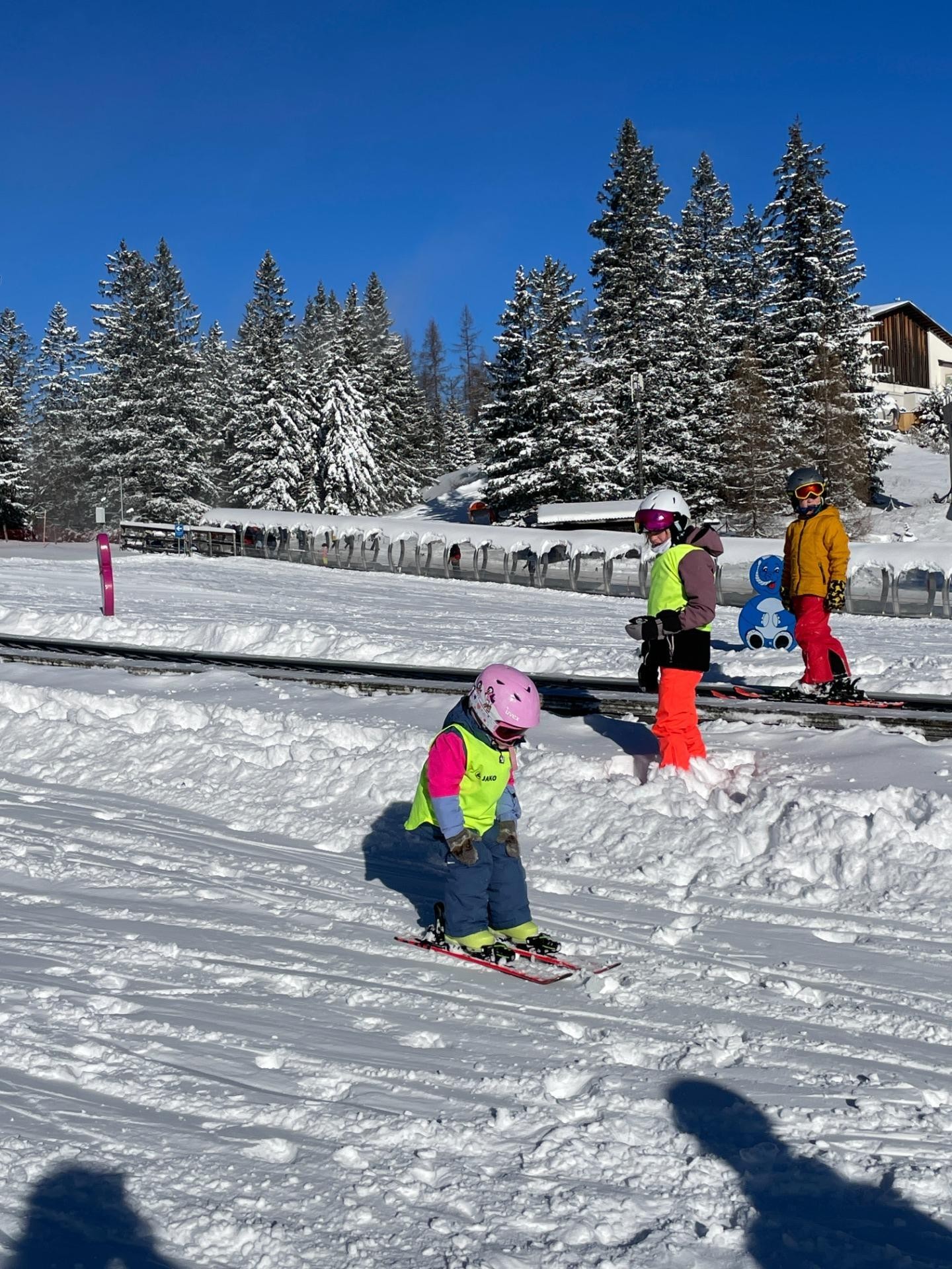 IMG_8135 - Kopie - Kopie - Kopie.JPG