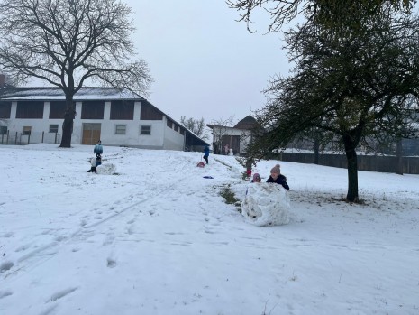 NABE_im_Schnee (1).jpeg