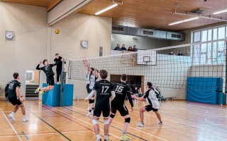 834910bb-2631-43b5-9f62-1bd9b412117c 2.JPG