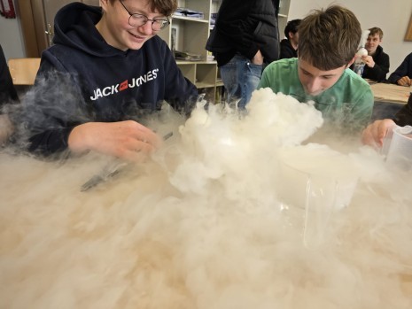 WhatsApp Image 2026-03-11 at 12.13.37 (1).jpeg