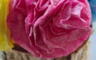 WhatsApp Image 2026-03-12 at 19.33.32 (3).jpeg