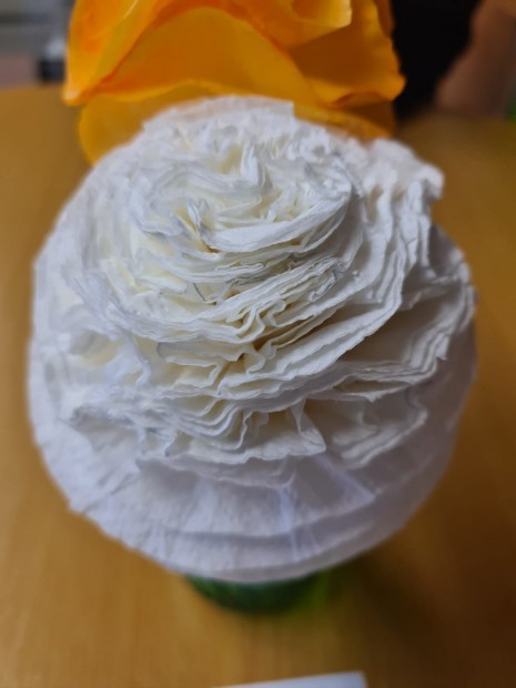 WhatsApp Image 2026-03-12 at 19.33.33 (1).jpeg