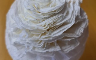 WhatsApp Image 2026-03-12 at 19.33.33 (1).jpeg