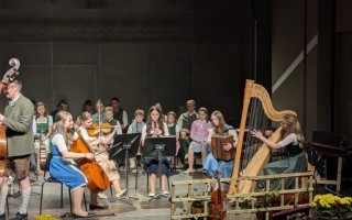 15.2. Streichhoiz Musi