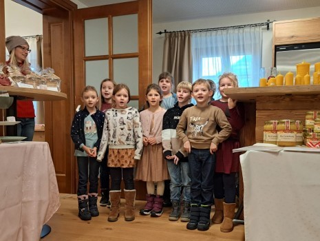 01 Hollenstein Advent Singklasse.jpeg