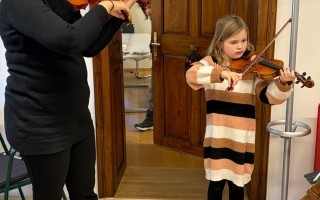 13 Hollenstein Geigen