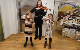 15 Hollenstein  Geigen beide