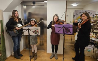 16 Hollenstein Geigen alle