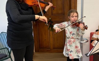 14 Hollenstein Geigen