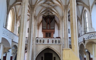 IMG_20260417_081347.jpg