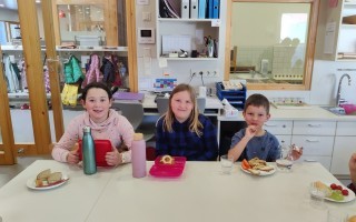 IMG_20260427_084913.jpg