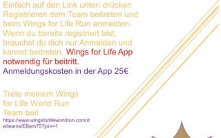 wingsforlifeworldrun