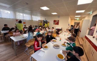 IMG_7083.jpeg