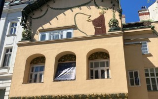 IMG_6184.jpeg