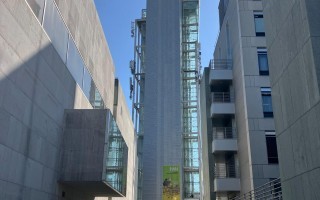 IMG_6093.jpeg