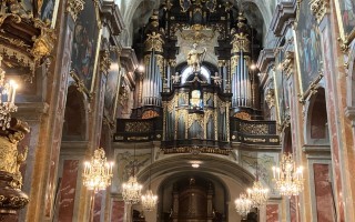 IMG_6134.jpeg