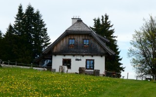 P1000276.JPG